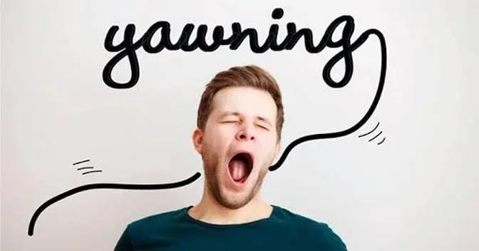 Why Do We Yawn