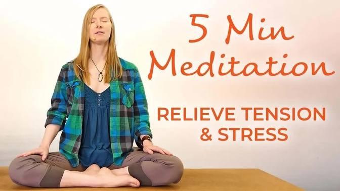 5 Minute Guided Meditation For Stress Pain Relief Quick N Easy