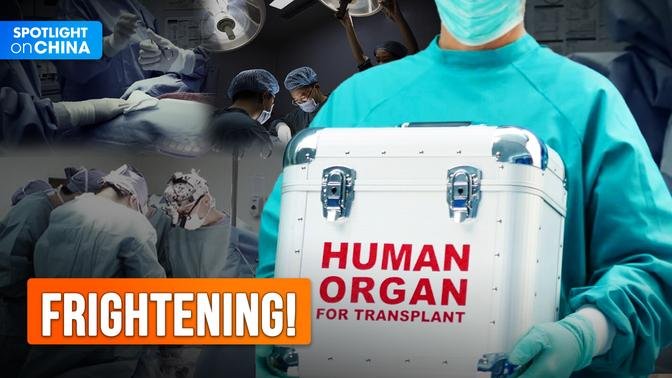 Documentary series exposes CCP’s brutal forced organ-harvesting in China 