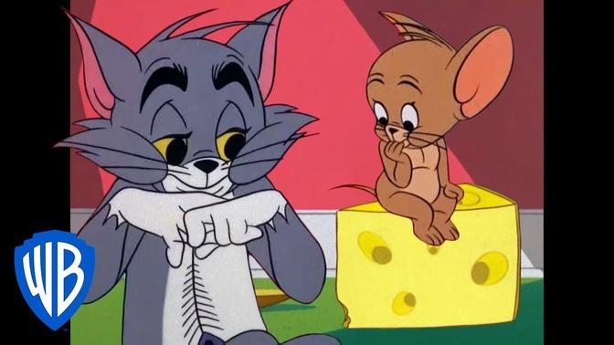 Tom & Jerry | Best Friends For(N)ever | Classic Cartoon Compilation | @WB Kids

WB Kids
