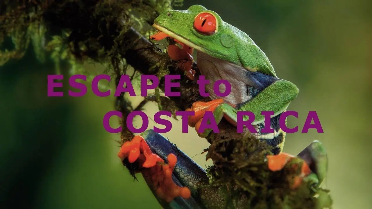 Escape to Costa Rica