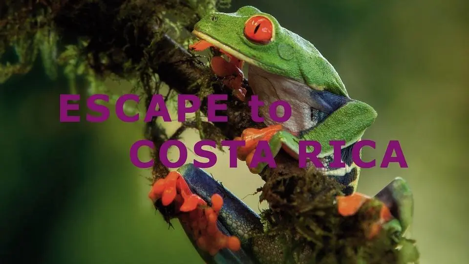 Escape to Costa Rica