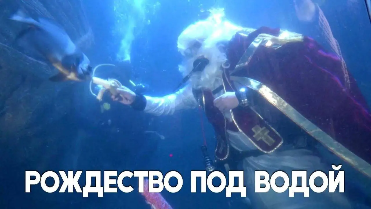 Немецкий Санта-Клаус ныряет в аквариум и кормит акул в океанариуме в Мюнхене