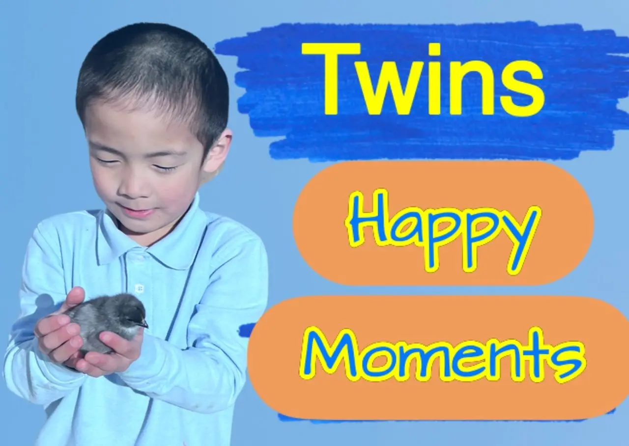 "Twins and Chicks' Happy Time"