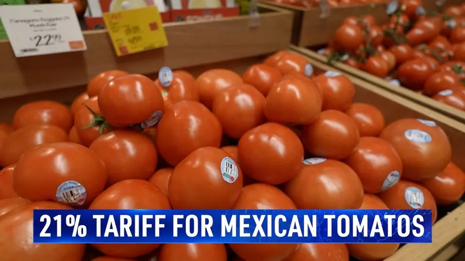 US to Impose 21% Tariff on Mexican Tomatoes