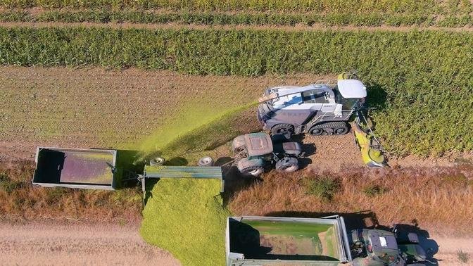 Mais Claas Jaguar Terratrac S W A T Mais H Ckseln Valtra Crash Corn Harvest