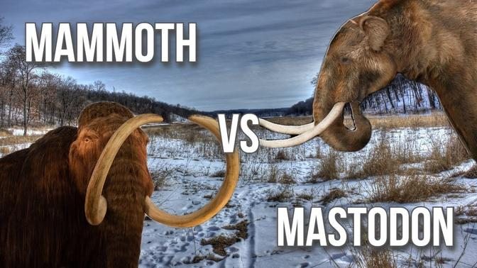 Mammoth V Mastodon