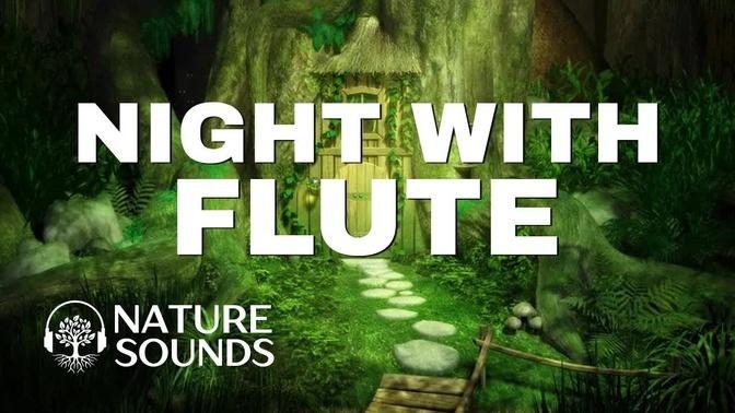 Nature Sounds Forest Sounds Flute Music Sleep Sounds Relaxing Sounds Nature Music