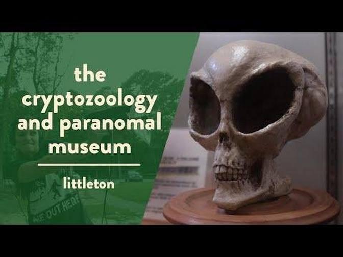 Cryptozoology & Paranormal Museum: Searching for Big Foot | Videos ...