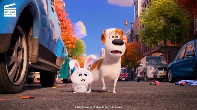 The Secret Life of Pets (7/9) | Animal Control Pursuit | Cartoon For Kids