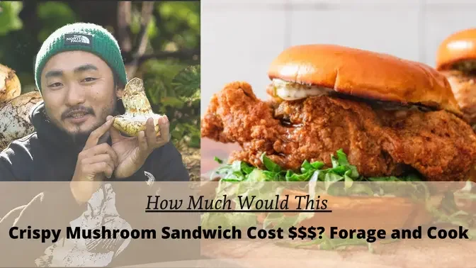 MATSUTAKE: $1000/lb?? | How Much Would This Crispy Mushroom Sandwich Cost $$$? Forage and Cook