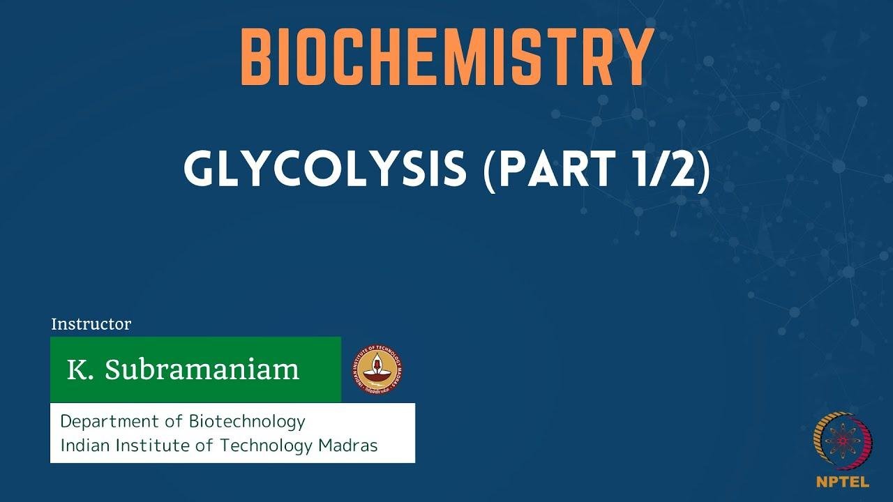 Glycolysis (Part 1/2)