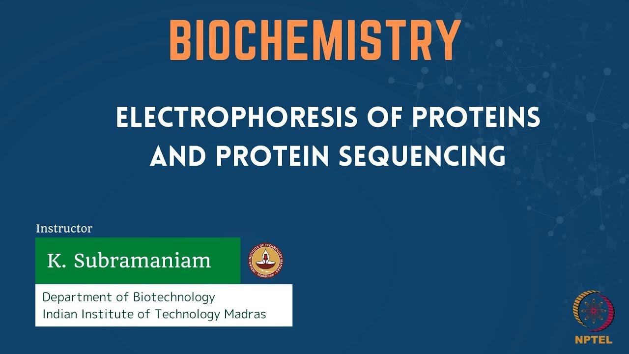 Electrophoresis of Proteins and Protein Sequencing