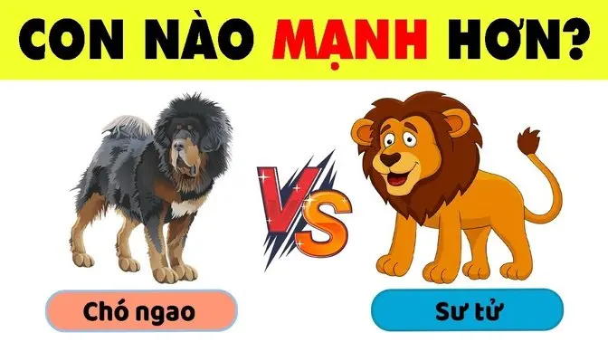 Thử Thách Đoán Mọi Thứ Chỉ 5% Các Bạn Có Tố Chất Giỏi Mới Giải Được Hết | Nhanh Trí