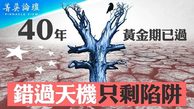 中等收入陷阱中共能跨越吗？台湾如何跨越中等收入陷阱？两蒋时代与台湾经济成功的秘诀；韩国模式和台湾模式有何不同？【 #菁英论坛 】| #新唐人电视台 05/09/2024