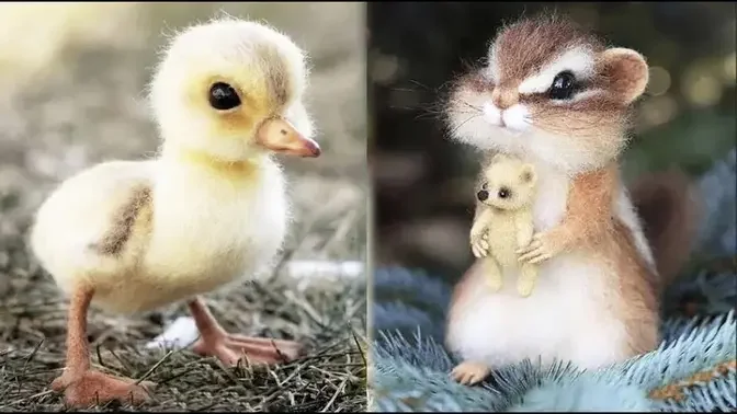 AWW SO CUTE! Cutest baby animals Videos Compilation Cute moment of the  Animals - Cutest Animals #44