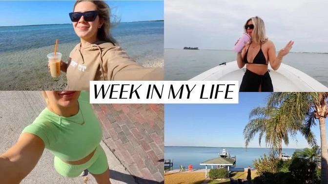 week in my life in FLORIDA 🌊🌴🌅🐚🦋