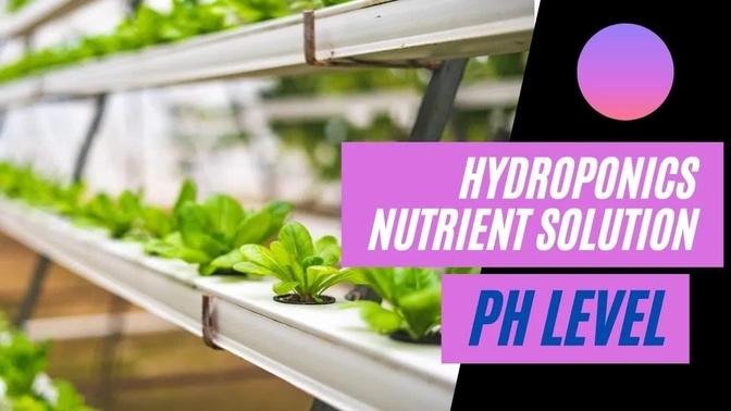 Nutrient Solution For Hydroponics Part 3 – Learn Expert Tips On The Importance of pH