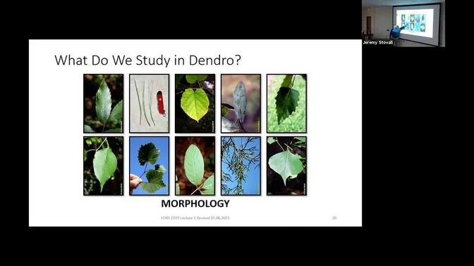 Intro to Dendrology 