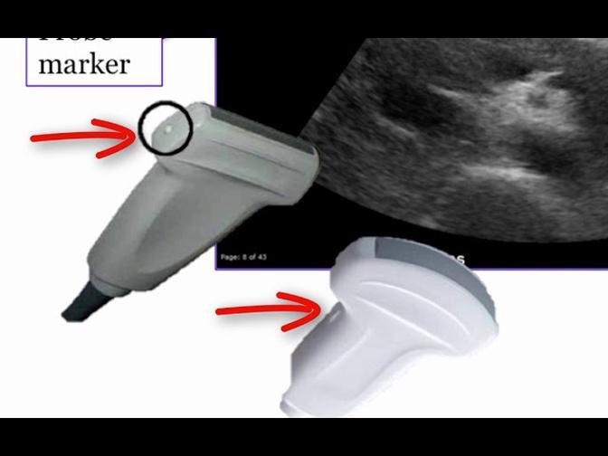 Introduction to Radiology Ultrasound