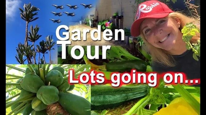 Vlog Fun Unique Vegetable Garden to Come, Eggs & Broccoli Omelet, Raised Bed Gardening, Hummingbirds