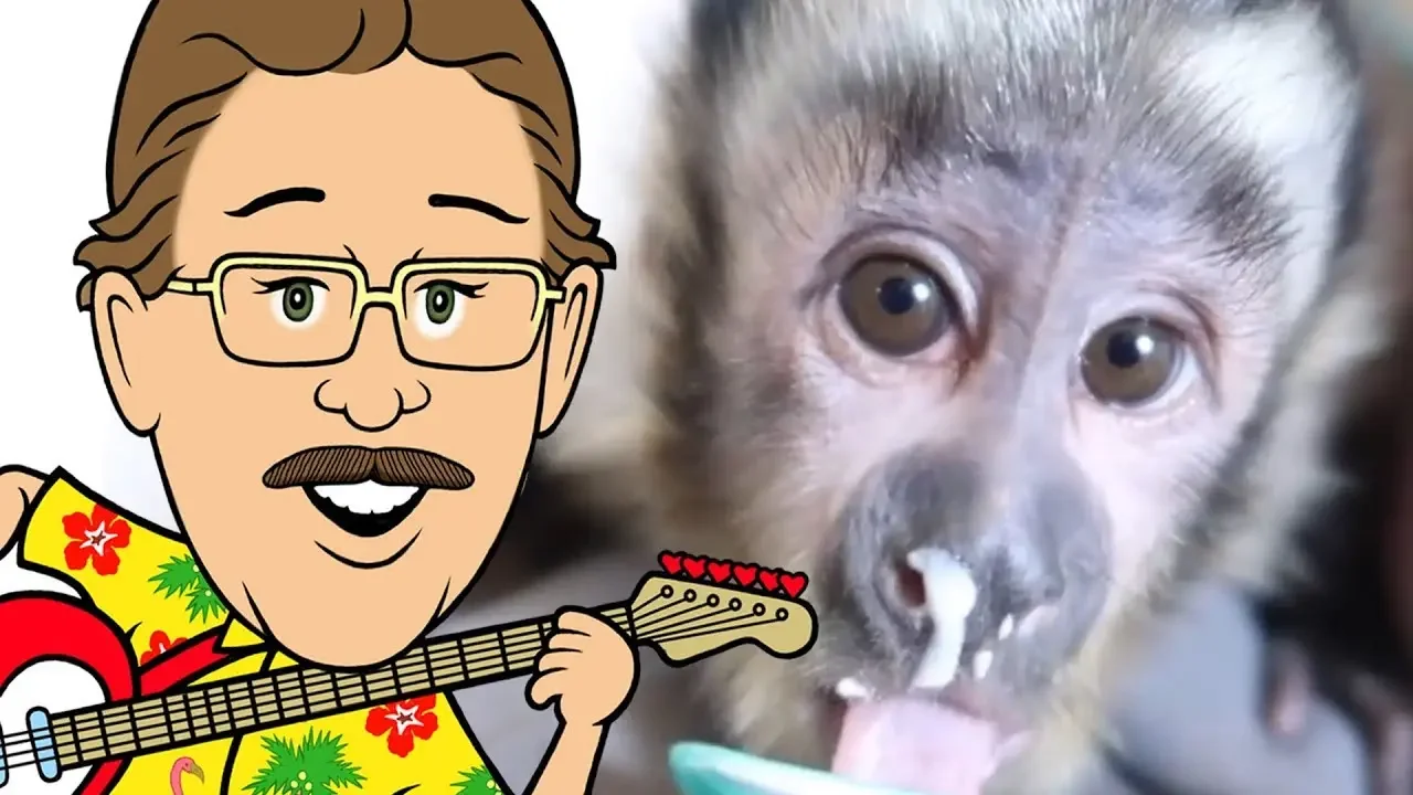 Monkeys Jacking Off