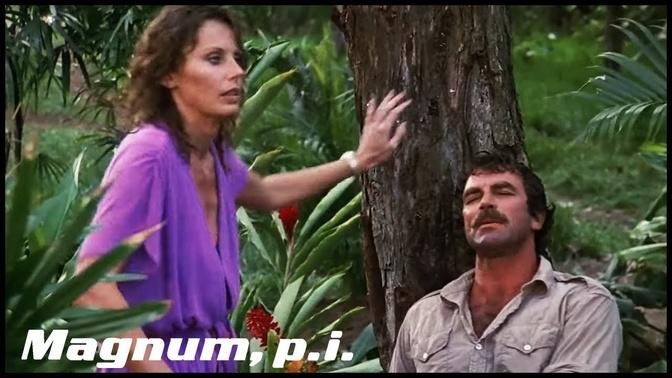 Shooter In The Distance | Magnum P.I.