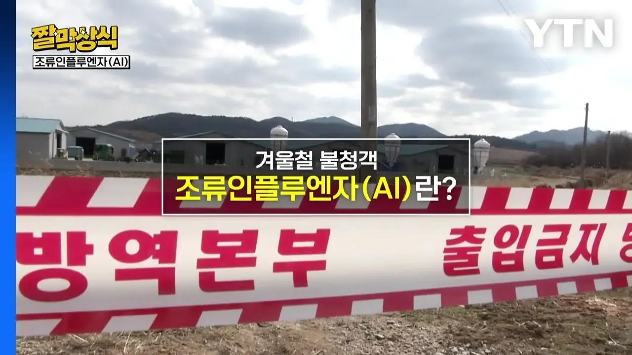 [짤막상식] 겨울철 불청객 조류인플루엔자(AI)란? / YTN
