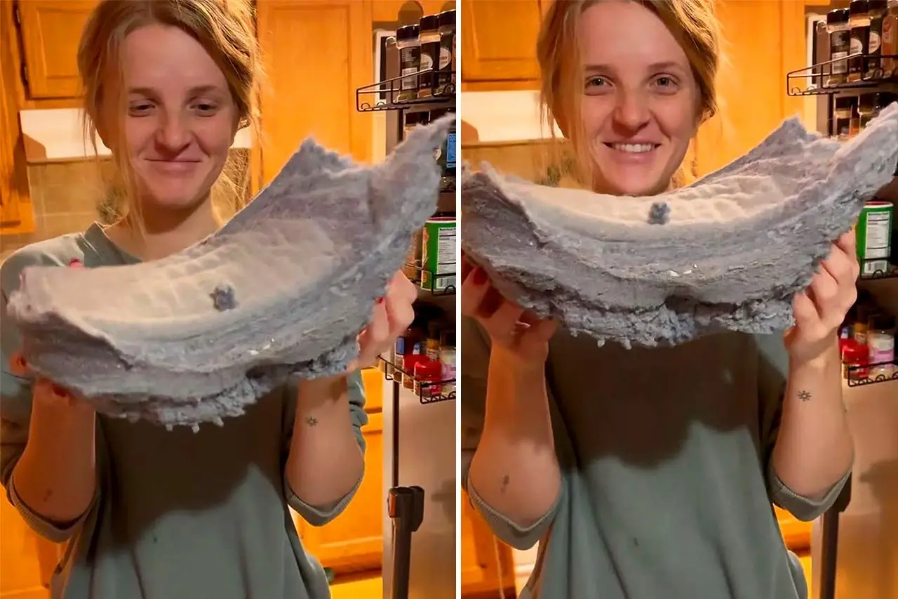 Woman Complains Her Dryer Isn't Working – Family Shocked by What They Discover