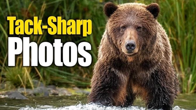 The Two Settings that Make Photos Tack Sharp