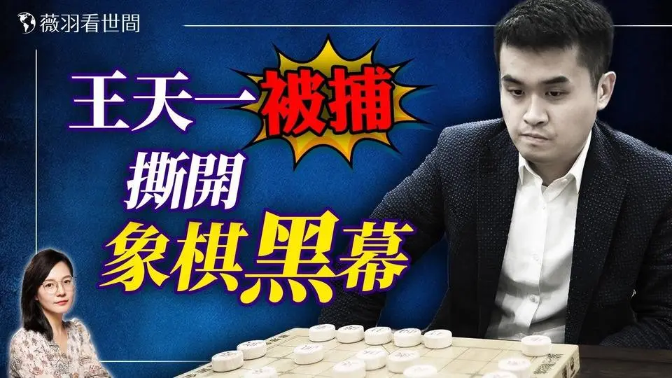 象棋界地震！中國象棋第一人王天一背後的黑惡勢力浮出水面。｜薇羽看世間 20240829