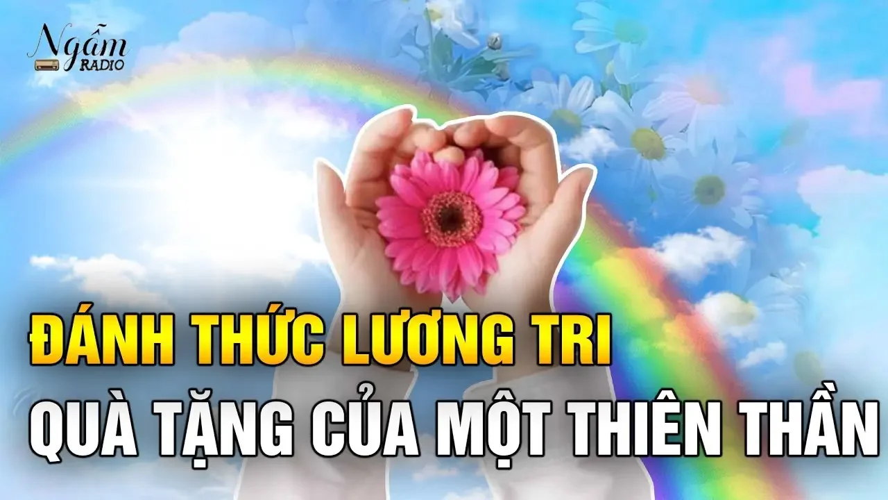 Đánh thức lương tri - Quà tặng của một thiên thần | Ngẫm Radio