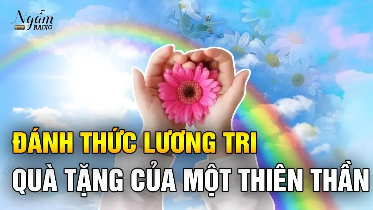 Đánh thức lương tri - Quà tặng của một thiên thần | Ngẫm Radio