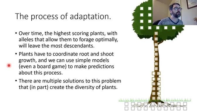 Plant Ecology module 4.3 - Real examples, discussion and review 