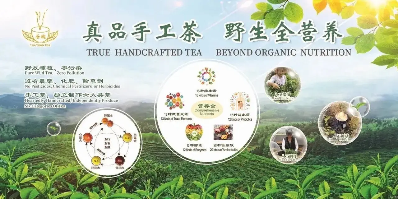 茶缘的健康理念