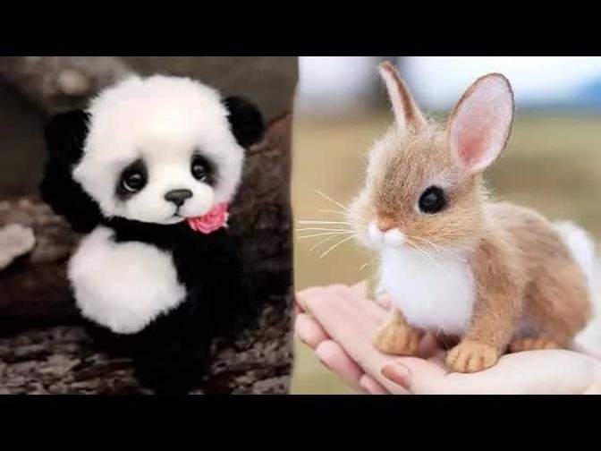 Cute baby animals Videos Compilation cute moment of the animals #2 Cutest Animals 2022
