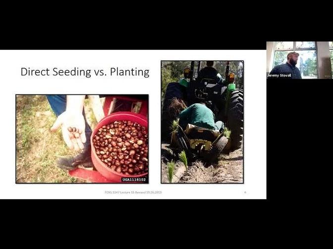 Planting - SFA Silviculture Lecture (FORS 3347)