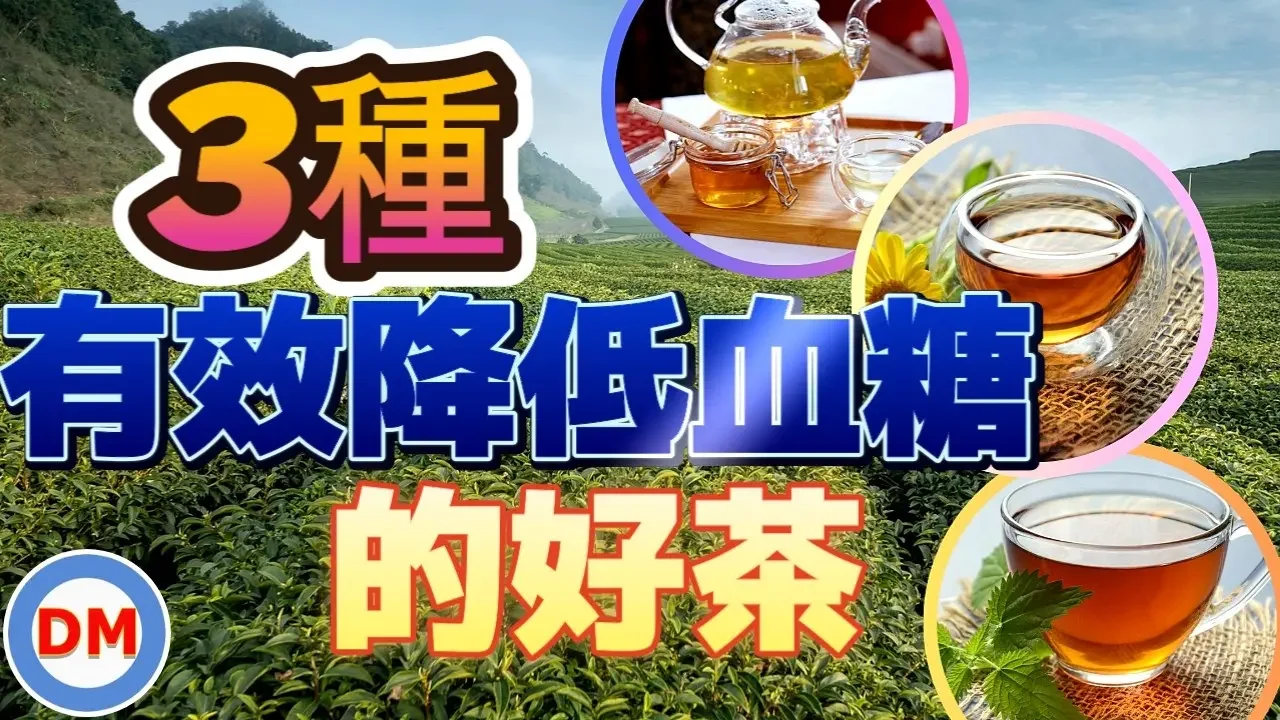 【糖尿病茶】3種有效降低血糖的好茶，適合糖尿病喝的健康茶類，降血糖的茶。