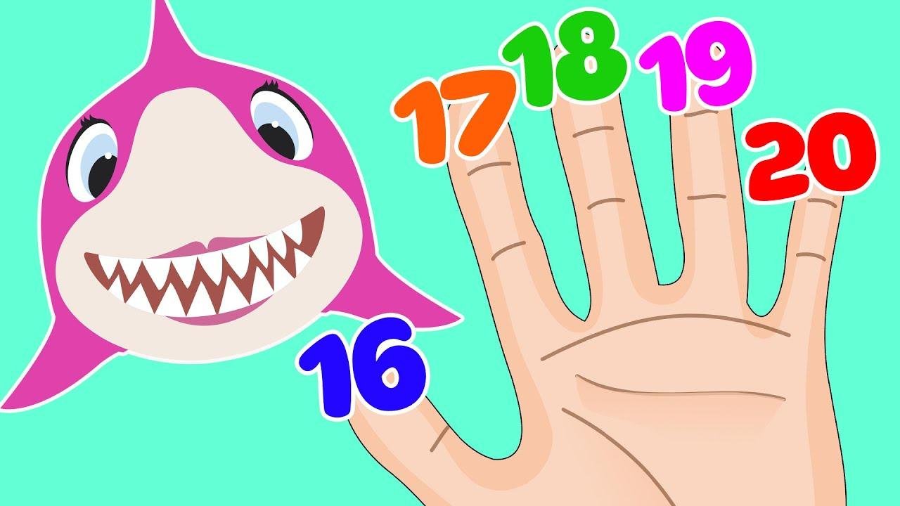 Baby Shark Finger Family Numbers Edition 16 - 20 | DoReMi Kids Songs