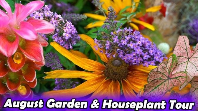 August Garden & Houseplant Tour Part 1