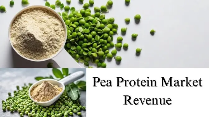 Pea Protein Market Revenue, Share, Size, Trends, Growth Analysis to 2032