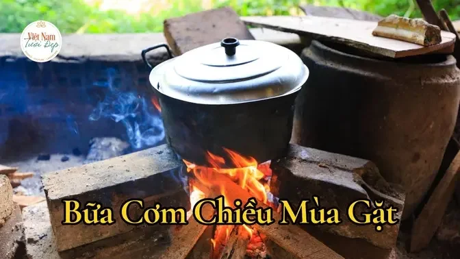 Bữa cơm chiều mùa gặt nồng ấm tình thân trong ký ức