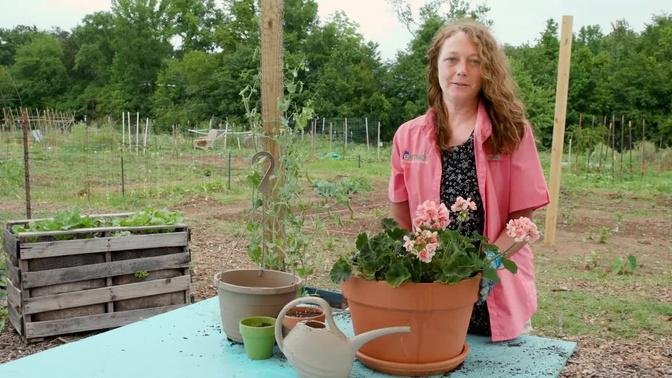 Alabama Smart Yards: Container Gardening