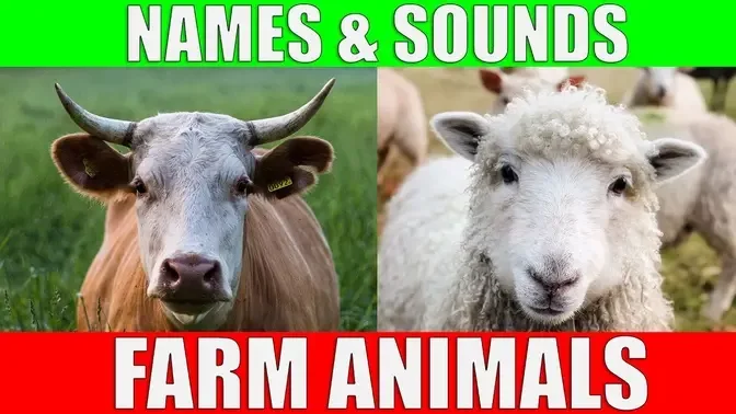 Farm Animals Names and Sounds for Kids to Learn | Learning Farm Animal  Names and Sounds
