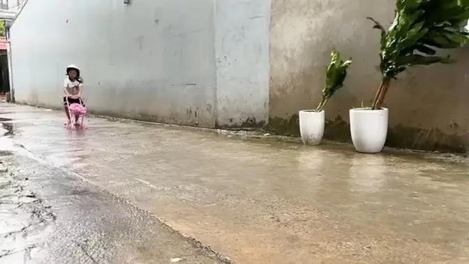 Đỡ đẻ cho con mèo mẹ nhà Cam Cam ngày mưa bão, được bốn em bé mèo dễ thương