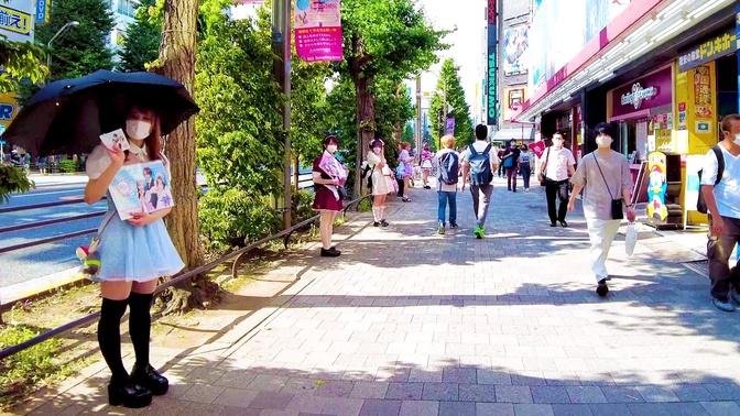 [Akihabara Walk in Tokyo] Cosplay Town ♪ (4K ASMR non-stop 1 hour 06 minutes)