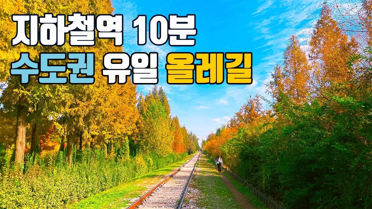 여기 서울 맞아?👍🌳 몰라서 못갔던 도심 속 숲길🚈 트레킹과 등산을 한 번에