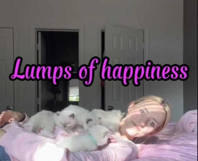 Lumps of happiness