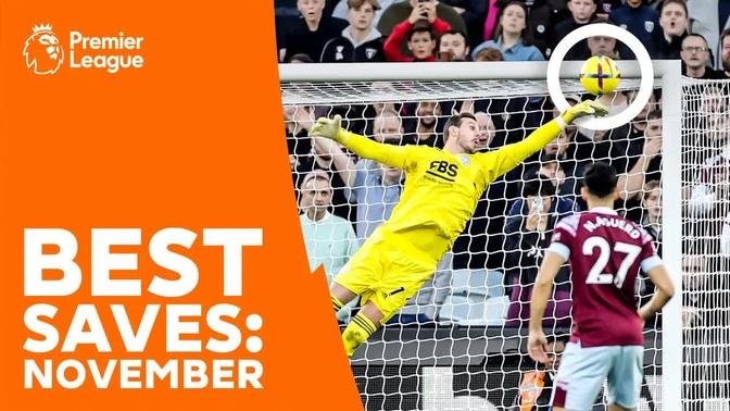 UNBELIEVABLE goalkeeper saves | Premier League | November
