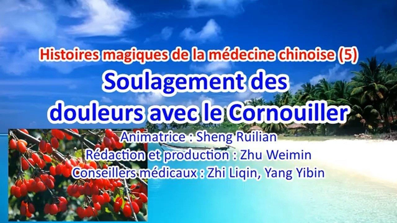 Douleurs soulagées par Cornouiller, Histoires magiques de la médecine chinoise (5) 